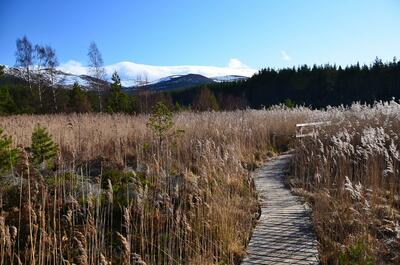 Walk photo