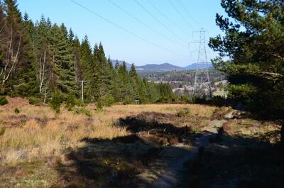 Walk photo