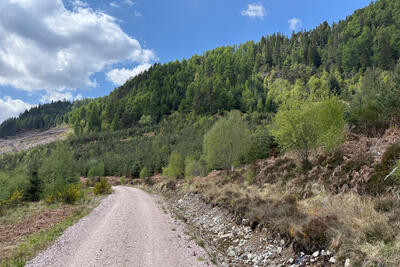 Walk photo