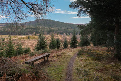 Walk photo
