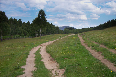 Walk photo