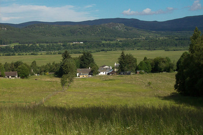 Walk photo