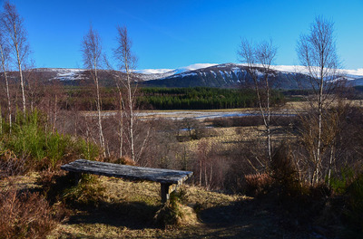 Walk photo