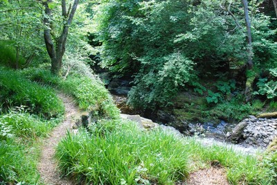 Walk photo