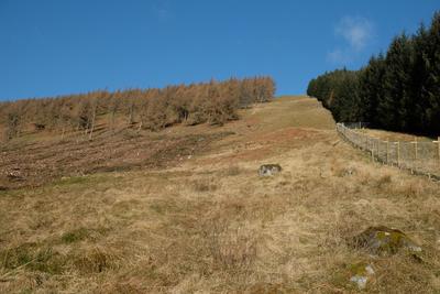 Walk photo