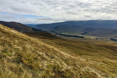 Walk photo