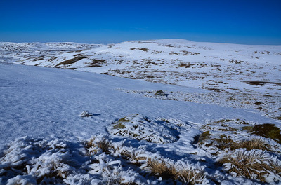 Walk photo