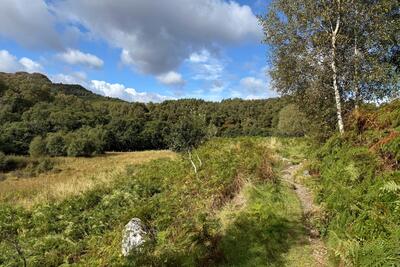Walk photo