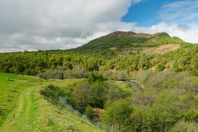 Wildcat Trail, Newtonmore