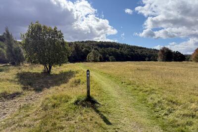 Walk photo