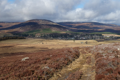 Walk photo