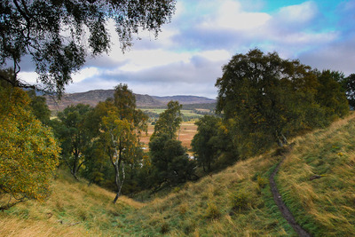 Walk photo