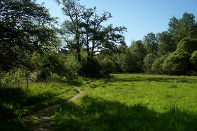Walk photo