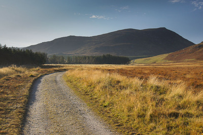 Walk photo