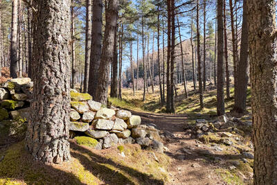 Walk photo
