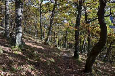 Walk photo