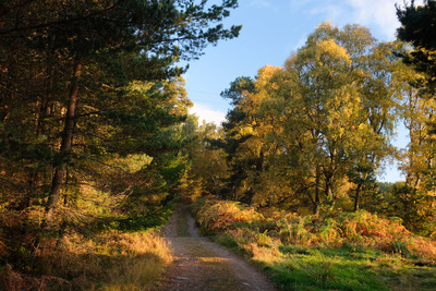 Walk photo