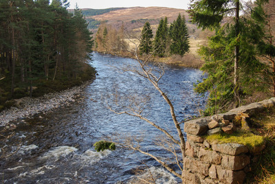 Walk photo