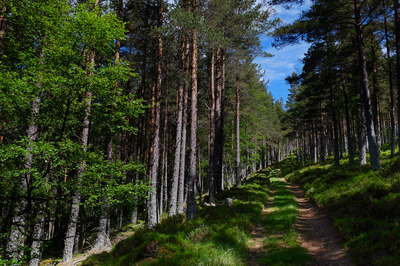 Walk photo
