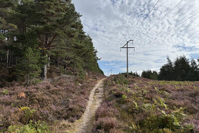 Walk photo