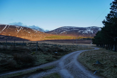 Walk photo