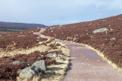 Walk photo