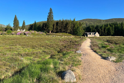 Walk photo