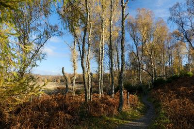 Walk photo