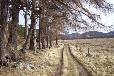 Walk photo