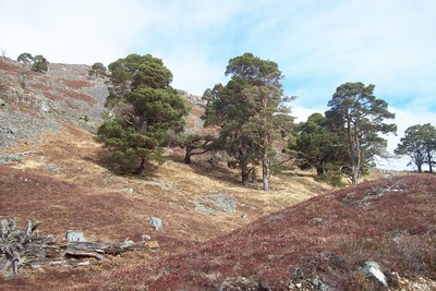 Walk photo