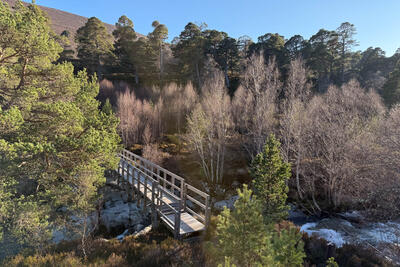 Walk photo
