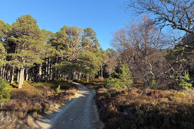 Walk photo