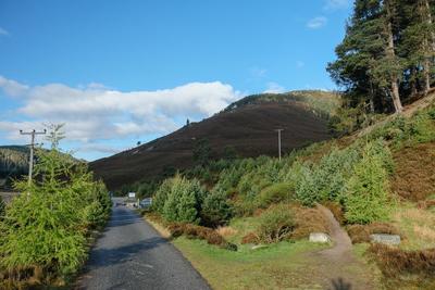 Walk photo