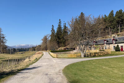 Walk photo