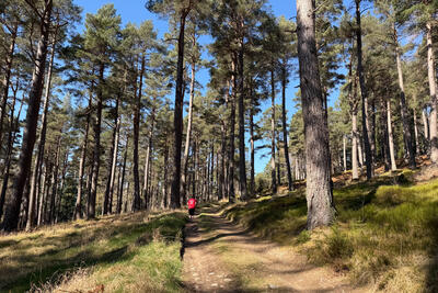 Walk photo