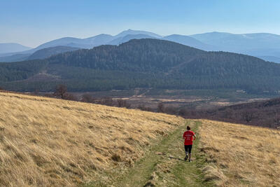 Walk photo