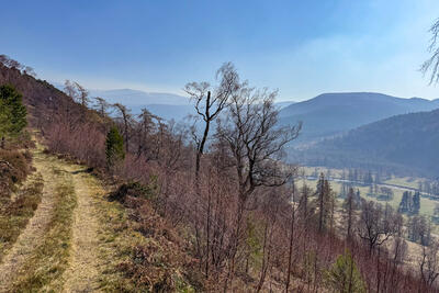 Walk photo