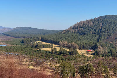 Walk photo
