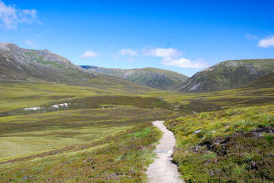 Walk photo