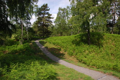 Walk photo