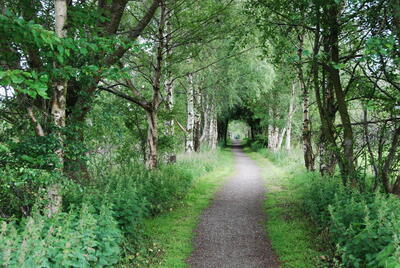 Walk photo