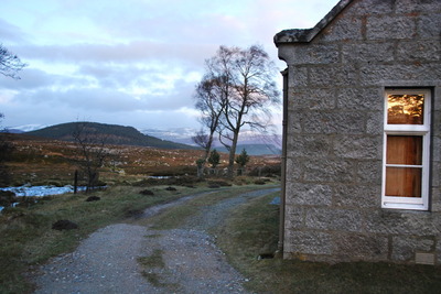 Walk photo