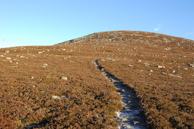 Walk photo