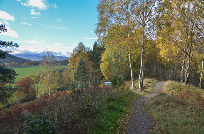 Walk photo