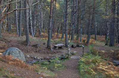 Walk photo