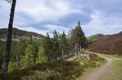 Walk photo