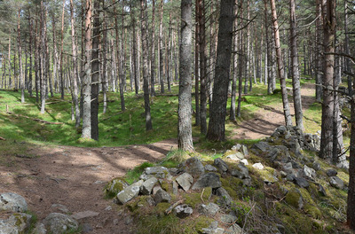 Walk photo