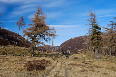 Walk photo