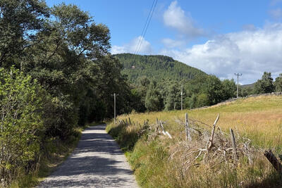 Walk photo