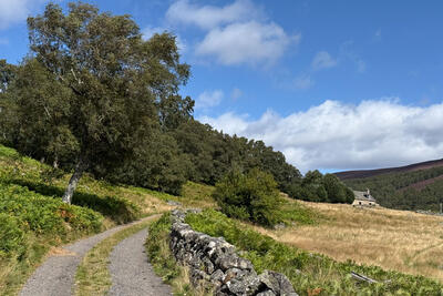 Walk photo